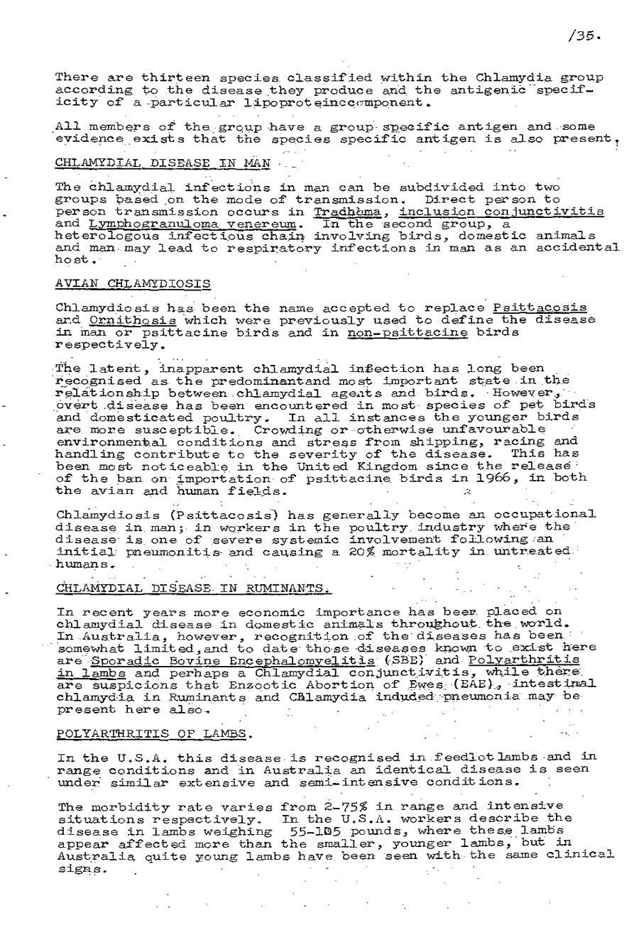 1975 page 35